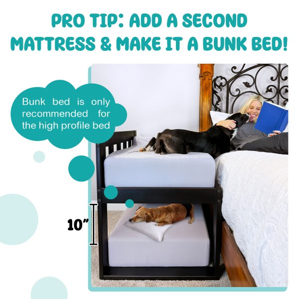NOMIN pet bed ペットベッド ブレインスリープ kv_1.jpg?v=1732087456