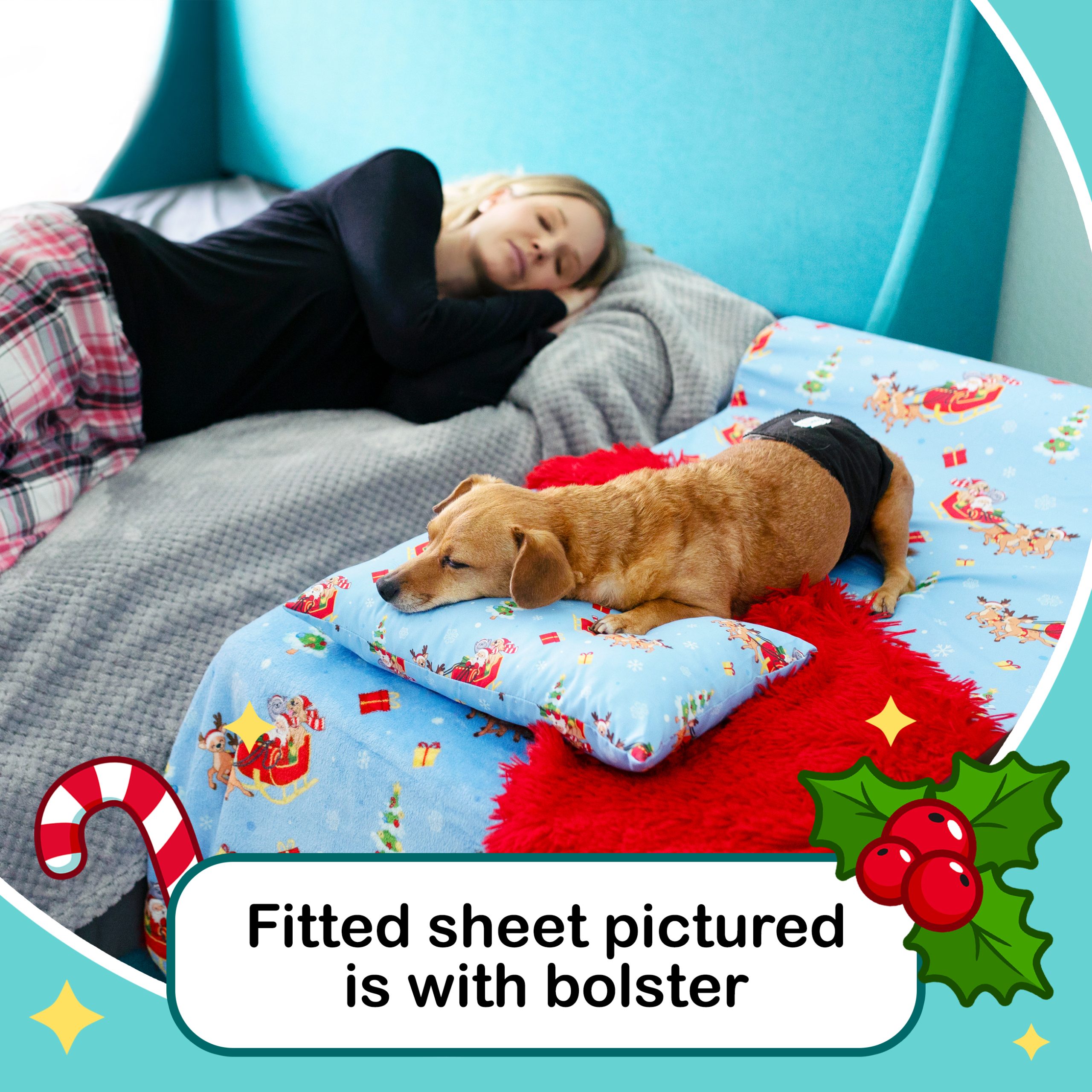 Pet Bedding Set - Sleepy Hippo